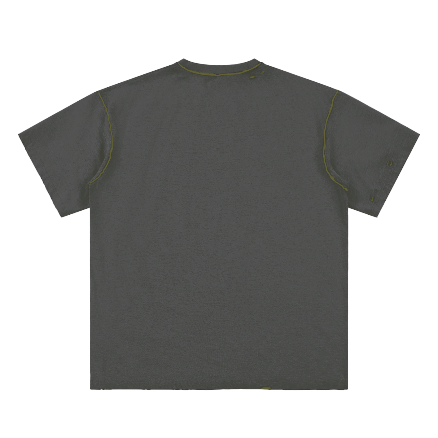 Alfaxi Hand-frayed Reversible T-shirt
